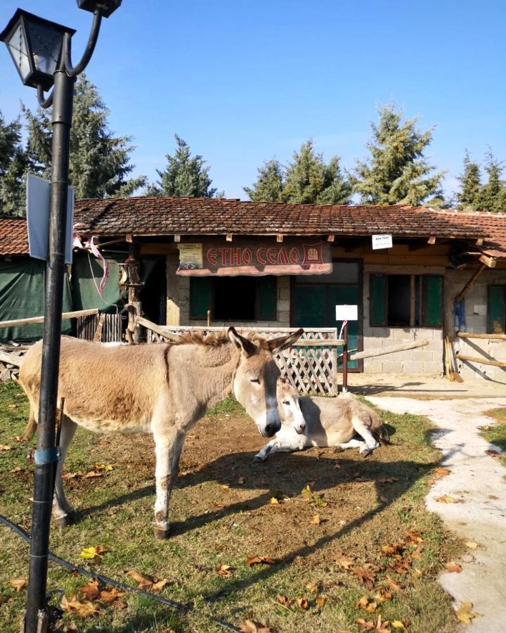 Etno Selo Timcevski Complex Vojnik Luaran gambar